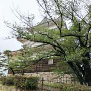 ヒメ日記 2025/06/03 14:24 投稿 かおり 人妻本舗愛のしずく名古屋店