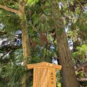 ヒメ日記 2025/07/25 19:56 投稿 かおり 人妻本舗愛のしずく名古屋店