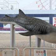 ヒメ日記 2025/12/17 17:56 投稿 かおり 人妻本舗愛のしずく名古屋店