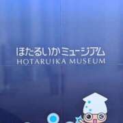 ヒメ日記 2026/05/19 12:25 投稿 かおり 人妻本舗愛のしずく名古屋店