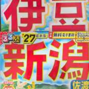 ヒメ日記 2026/06/03 14:10 投稿 かおり 人妻本舗愛のしずく名古屋店