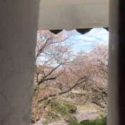 ヒメ日記 2025/02/08 14:23 投稿 まりこ 人妻本舗愛のしずく名古屋店