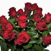 ヒメ日記 2025/02/14 17:59 投稿 まりこ 人妻本舗愛のしずく名古屋店