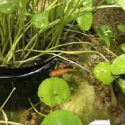 ヒメ日記 2025/02/18 17:56 投稿 まりこ 人妻本舗愛のしずく名古屋店