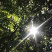 ヒメ日記 2025/02/21 19:42 投稿 まりこ 人妻本舗愛のしずく名古屋店