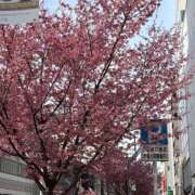 ヒメ日記 2025/03/16 17:45 投稿 まりこ 人妻本舗愛のしずく名古屋店