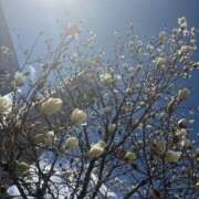 ヒメ日記 2025/03/18 17:37 投稿 まりこ 人妻本舗愛のしずく名古屋店