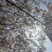 ヒメ日記 2025/04/05 19:16 投稿 まりこ 人妻本舗愛のしずく名古屋店