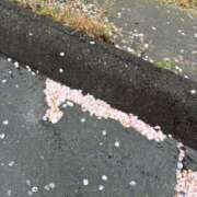 ヒメ日記 2025/04/15 16:42 投稿 まりこ 人妻本舗愛のしずく名古屋店