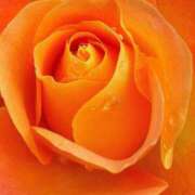 ヒメ日記 2025/05/27 13:02 投稿 まりこ 人妻本舗愛のしずく名古屋店