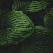 ヒメ日記 2025/05/27 15:08 投稿 まりこ 人妻本舗愛のしずく名古屋店