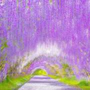 ヒメ日記 2025/05/22 18:30 投稿 みや 人妻本舗愛のしずく名古屋店