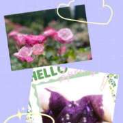 ヒメ日記 2025/05/30 21:45 投稿 みや 人妻本舗愛のしずく名古屋店