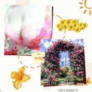 ヒメ日記 2025/06/13 04:51 投稿 みや 人妻本舗愛のしずく名古屋店