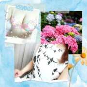 ヒメ日記 2025/06/13 18:34 投稿 みや 人妻本舗愛のしずく名古屋店