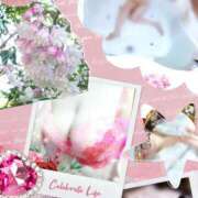 ヒメ日記 2025/06/21 18:37 投稿 みや 人妻本舗愛のしずく名古屋店