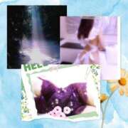 ヒメ日記 2025/07/04 05:41 投稿 みや 人妻本舗愛のしずく名古屋店