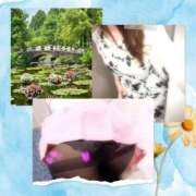 ヒメ日記 2025/07/20 15:21 投稿 みや 人妻本舗愛のしずく名古屋店