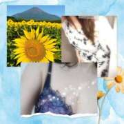 ヒメ日記 2025/08/29 19:56 投稿 みや 人妻本舗愛のしずく名古屋店