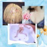 ヒメ日記 2025/09/08 19:35 投稿 みや 人妻本舗愛のしずく名古屋店