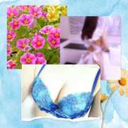 ヒメ日記 2025/09/11 20:16 投稿 みや 人妻本舗愛のしずく名古屋店