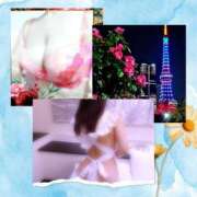 ヒメ日記 2025/09/28 04:00 投稿 みや 人妻本舗愛のしずく名古屋店