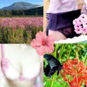 ヒメ日記 2025/11/07 18:15 投稿 みや 人妻本舗愛のしずく名古屋店