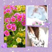 みや 26日♪ 人妻本舗愛のしずく名古屋店