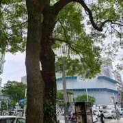 ヒメ日記 2025/05/15 12:40 投稿 せんり 人妻本舗愛のしずく名古屋店