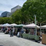 ヒメ日記 2025/06/01 14:42 投稿 せんり 人妻本舗愛のしずく名古屋店