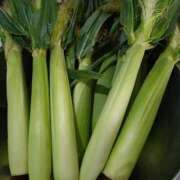 ヒメ日記 2025/06/02 09:30 投稿 せんり 人妻本舗愛のしずく名古屋店