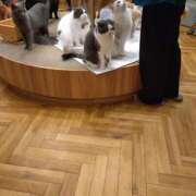 ヒメ日記 2025/08/01 19:52 投稿 せんり 人妻本舗愛のしずく名古屋店