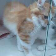 ヒメ日記 2025/08/25 13:21 投稿 せんり 人妻本舗愛のしずく名古屋店