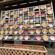 ヒメ日記 2025/02/26 11:40 投稿 りの 人妻本舗愛のしずく名古屋店