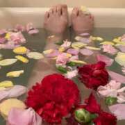 ヒメ日記 2025/03/14 20:48 投稿 りの 人妻本舗愛のしずく名古屋店