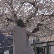 ヒメ日記 2025/03/18 06:47 投稿 りの 人妻本舗愛のしずく名古屋店