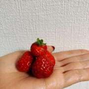 ヒメ日記 2025/03/21 22:00 投稿 りの 人妻本舗愛のしずく名古屋店