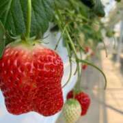 ヒメ日記 2025/03/22 21:31 投稿 りの 人妻本舗愛のしずく名古屋店