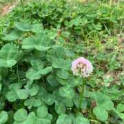 ヒメ日記 2025/03/23 11:17 投稿 りの 人妻本舗愛のしずく名古屋店