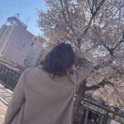 ヒメ日記 2025/04/04 12:14 投稿 りの 人妻本舗愛のしずく名古屋店