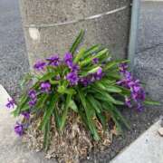 ヒメ日記 2025/04/08 10:49 投稿 りの 人妻本舗愛のしずく名古屋店