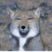 ヒメ日記 2025/04/18 12:45 投稿 りの 人妻本舗愛のしずく名古屋店