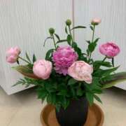 ヒメ日記 2025/05/05 07:58 投稿 りの 人妻本舗愛のしずく名古屋店