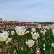 ヒメ日記 2025/05/21 20:39 投稿 りの 人妻本舗愛のしずく名古屋店