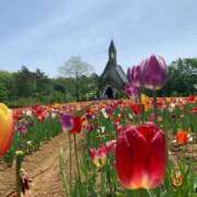 ヒメ日記 2025/06/02 10:20 投稿 りの 人妻本舗愛のしずく名古屋店