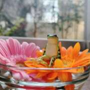 ヒメ日記 2025/06/11 03:23 投稿 りの 人妻本舗愛のしずく名古屋店