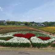 ヒメ日記 2025/06/19 22:42 投稿 りの 人妻本舗愛のしずく名古屋店