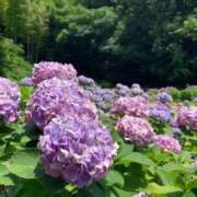 ヒメ日記 2025/06/29 22:06 投稿 りの 人妻本舗愛のしずく名古屋店