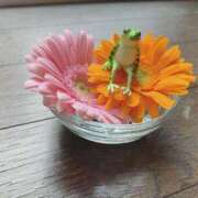 ヒメ日記 2025/07/15 00:52 投稿 りの 人妻本舗愛のしずく名古屋店