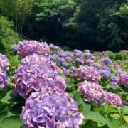 ヒメ日記 2025/08/10 11:22 投稿 りの 人妻本舗愛のしずく名古屋店